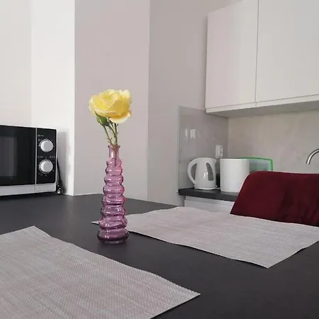 Leona Vidikovac, Apartament Pula