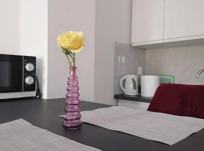 Leona Vidikovac, Lejlighed Pula