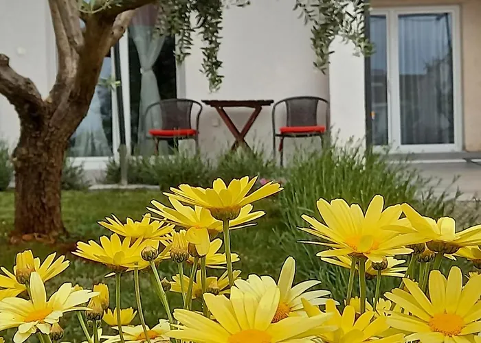 Leona Vidikovac, Lejlighed Pula